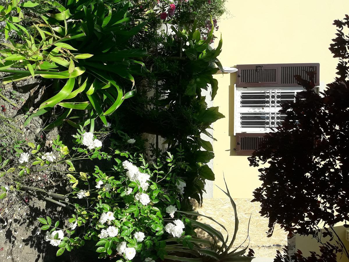 Aliso' Apartment Sarzana Exterior photo